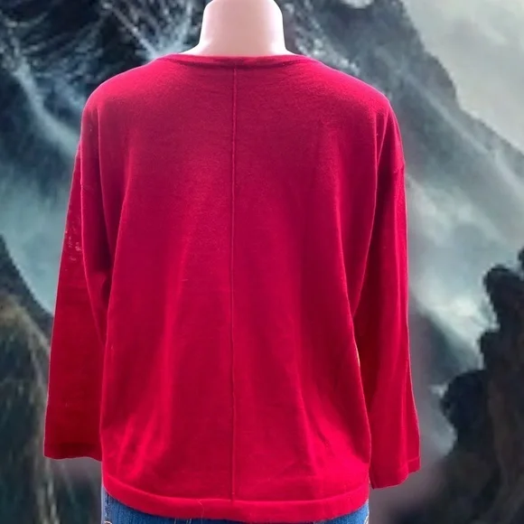 J Jill 100% Washable Merino‎ Wool top scoop neck shirt Petite Small - Picture 2 of 4